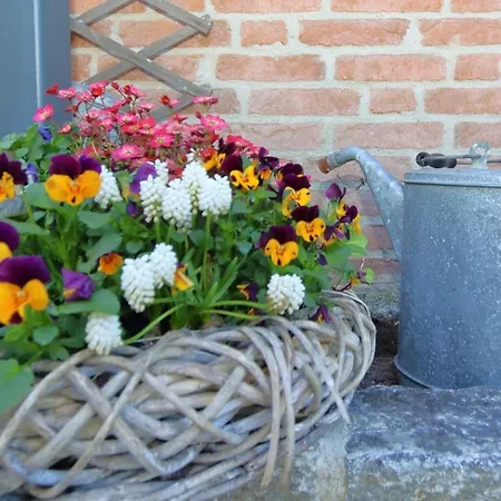 Krauthahn Anbau * ヴェスターラント