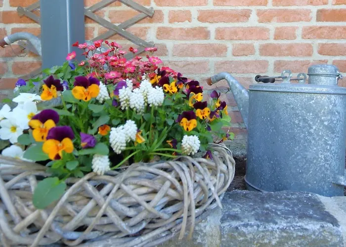 Krauthahn Anbau * Westerland